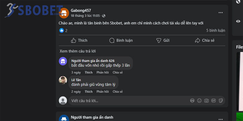 Khi mới bắt đầu mình thường lên các hội nhóm để học hỏi và giao lưu kinh nghiệm