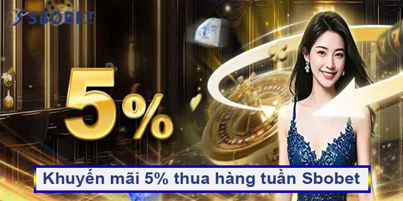 Hoàn trả 5% thua hàng tuần Sbobet – Dù thua vẫn nhận tiền 1 Khuyến mãi 5% thua hàng tuần Sbobet